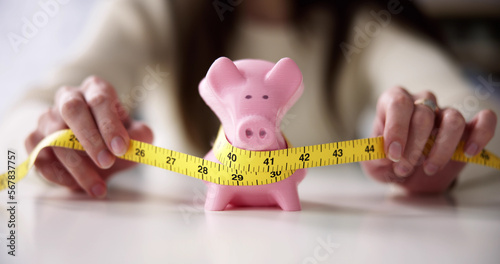 Tight Savings Piggy Bank Measurement