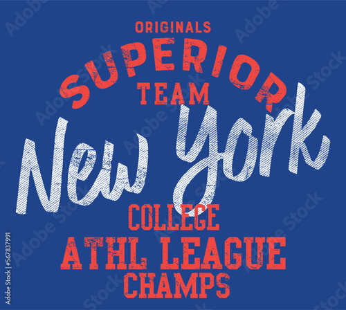 new york college varsity print