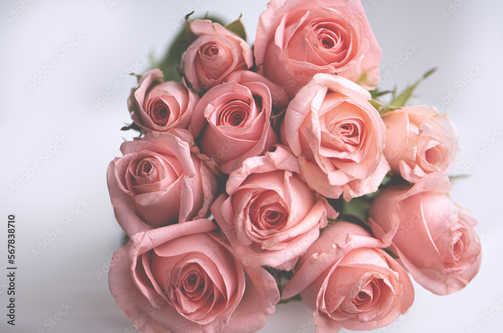 bouquet of apricot/rose roses close up