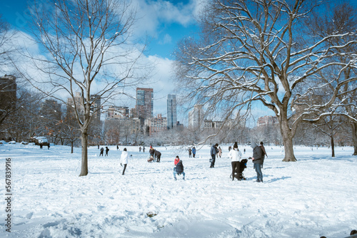 Persone nel tempo libero che giocano con la neve a Central Park a New York photo