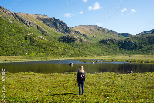 Fototapeta Naklejka Na Ścianę i Meble -  Young woman enjoy the beautiful natural scenery in the north. Lake and mountains. Tourist attraction in Norway. Amazing scenic outdoor view. Travel, adventure, relaxed lifestyle. Lofoten Islands