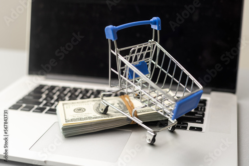 toy shopping cart with dollar banknotes on white,