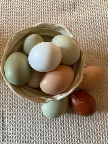 farm fresh eggs (ID: 567843732)