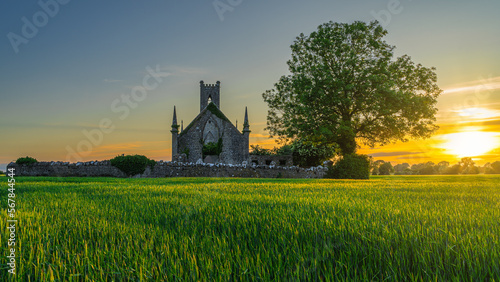 Cereal field illuminated by sunlight and old stone ruins of Ballinafagh Church with dramatic sky at sunset in background, County Kildare, Ireland photo