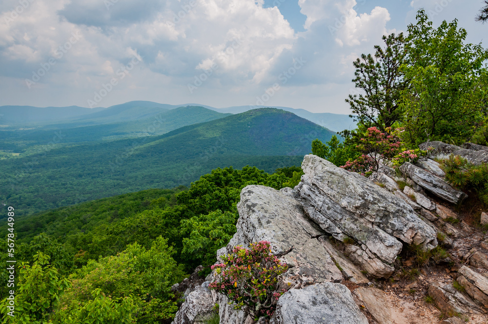 Fototapeta premium Amazing West Virginia Views, USA, West Virginia