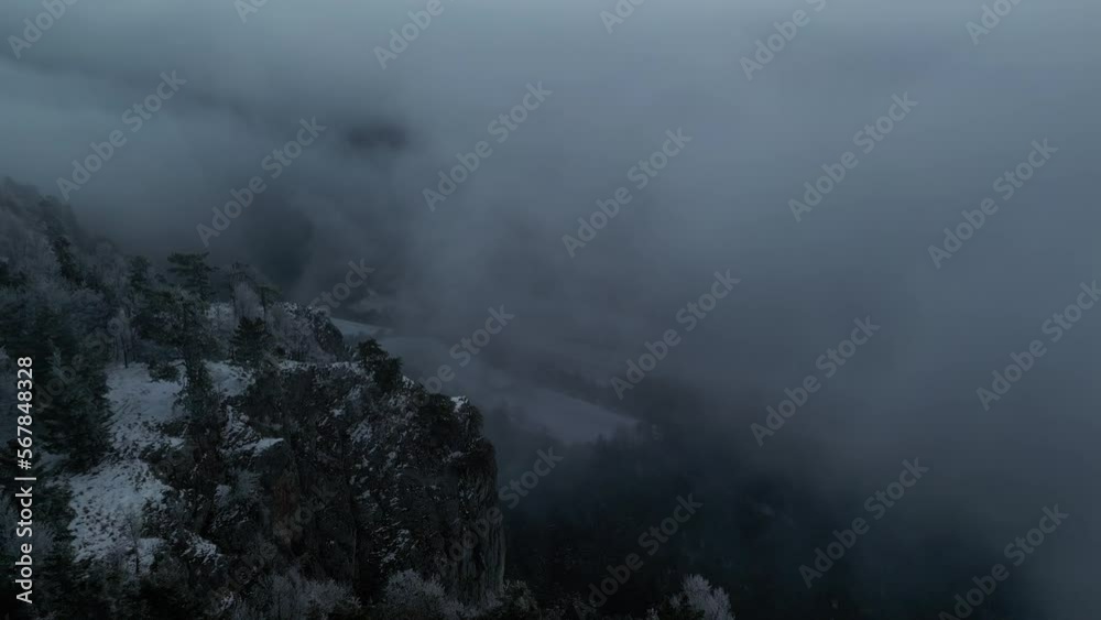 Winter Forest with Snow Aerial View Winter Forest with Snow Aerial View