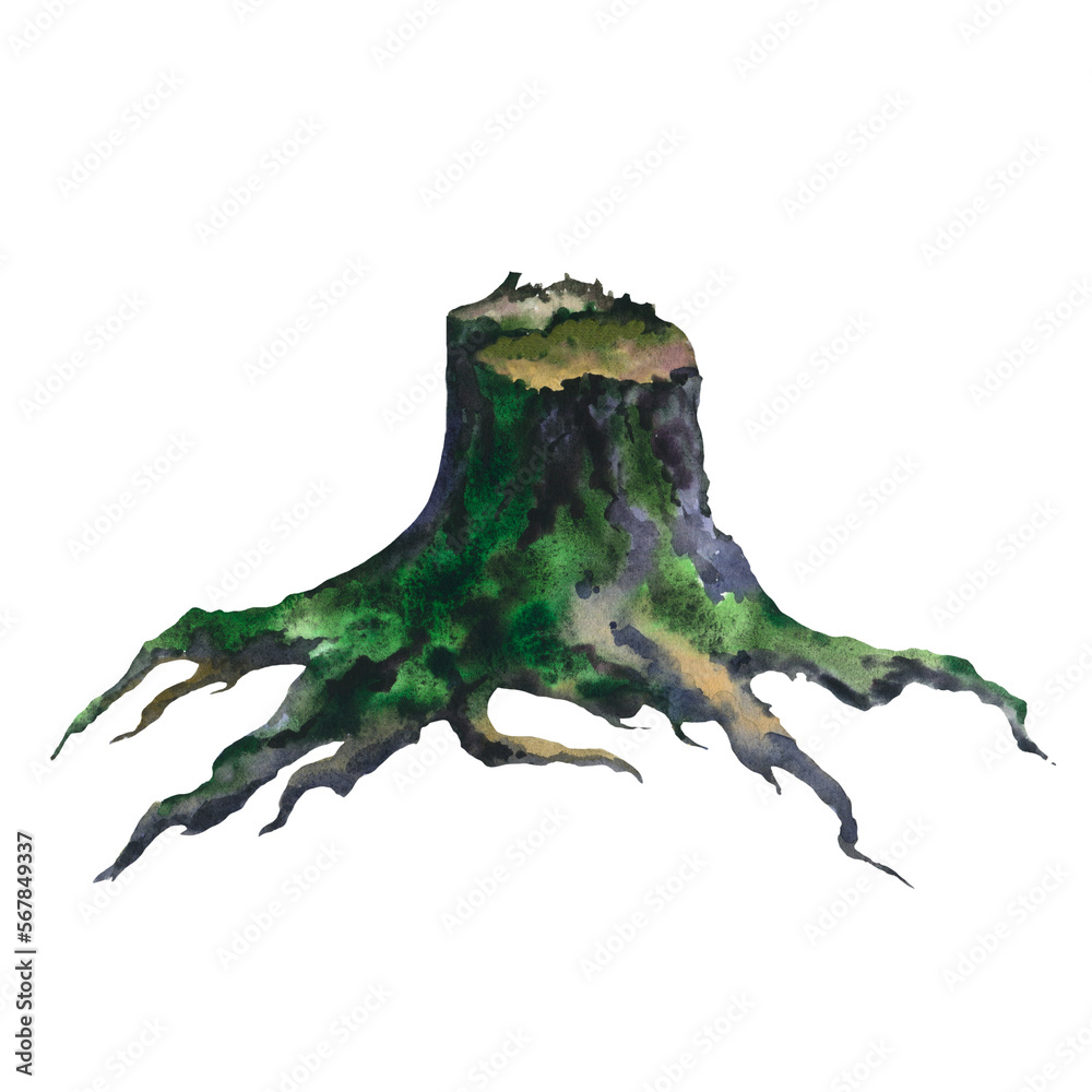 Fototapeta premium Picture of an old stump hand painted in watercolor on a white background. Watercolor realistic illustration. Tree cut trunk with green moss and grass.