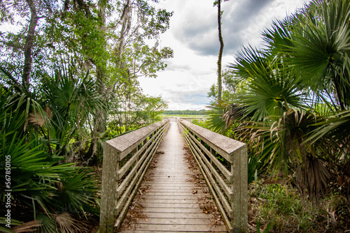 Board walk going towards a body of water during the summer time