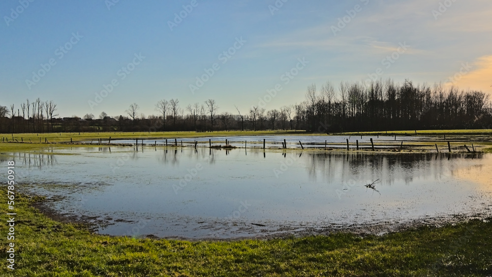 Flooded meadow with fence and bare trees reflecting in the blue water in Scheldemeersen nature reserve, Merelbeke, Flanders, Belgium Flooded meadow with fence and bare trees reflecting in the blue water in Scheldemeersen nature reserve, Merelbeke, Flanders, Belgium