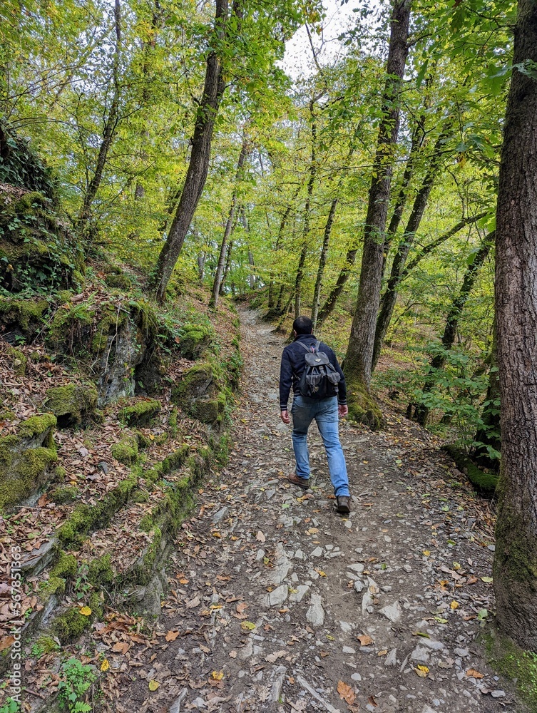 Man hiking at beautiful forest