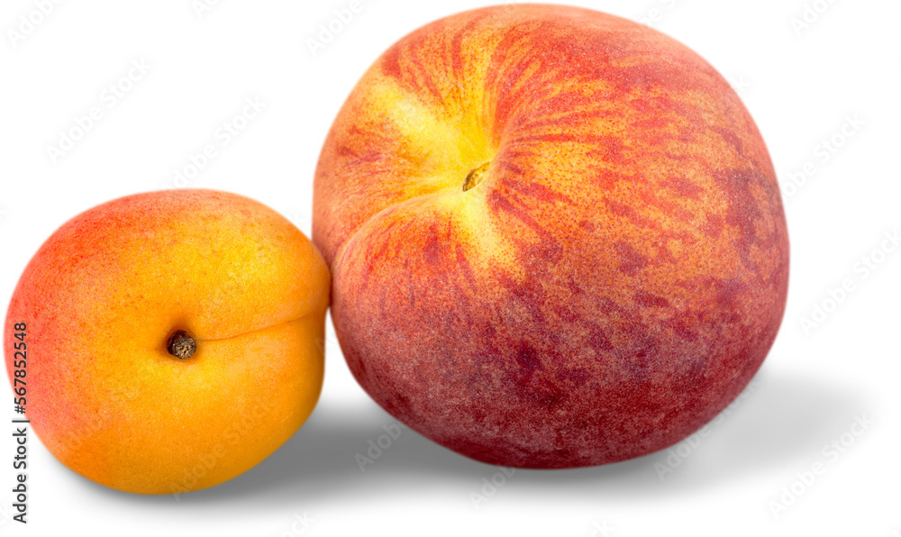 Apricot and Peach