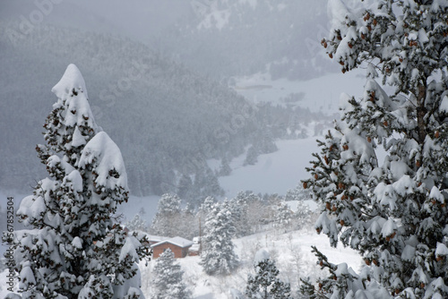 Valley Through the Trees Rollinsville Colorado in Winter