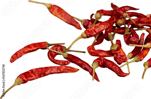 Dried Chili Peppers - Isolated