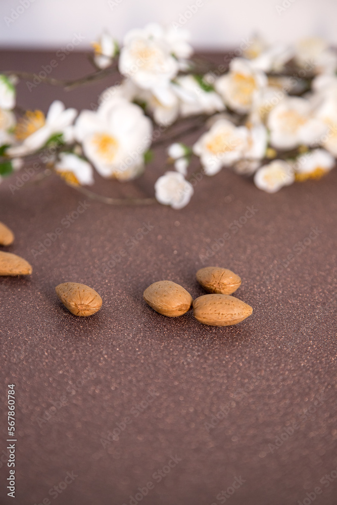 Happy Easter. Minimal composition made with almond blossom and almonds with bright brown background and space for text. Greeting card concept for spring, easter, mother's day festive moments.