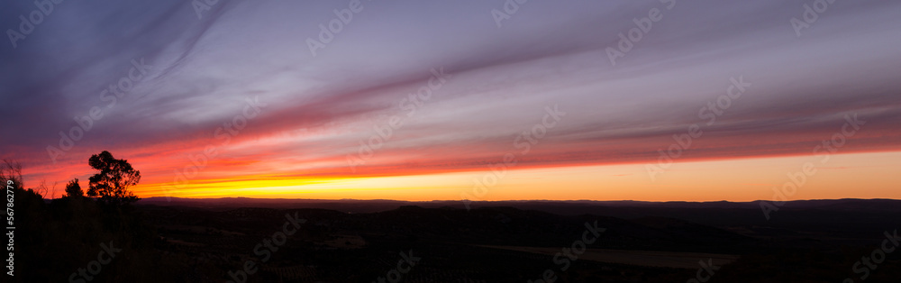 panorama of a landscape at sunset with a tree on the left and the orange and blue sky