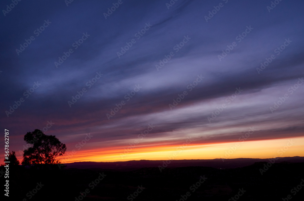 landscape of a blue and orange cloudy sky at sunset with a tree on the left