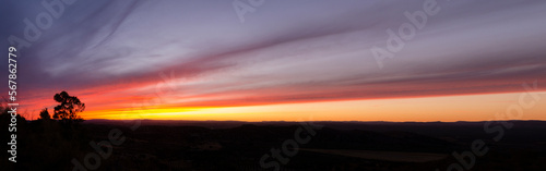 panorama of a landscape at sunset with a tree on the left and the orange and blue sky