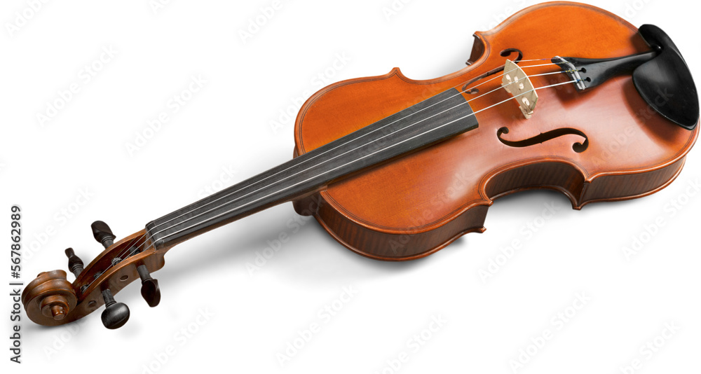 Fototapeta premium Classic string musical instrument Violin