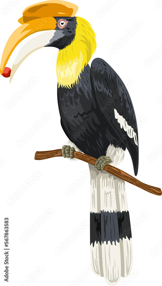 Obraz premium Hornbill on a branch illustration