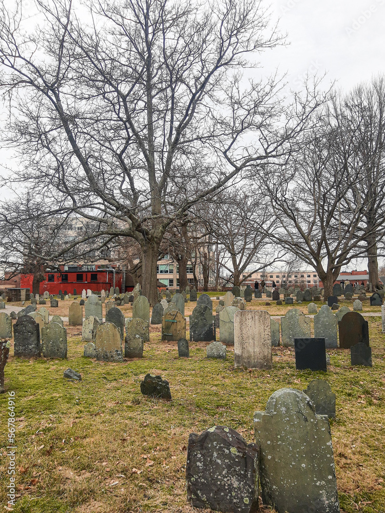 Naklejka premium graveyard and cemetery