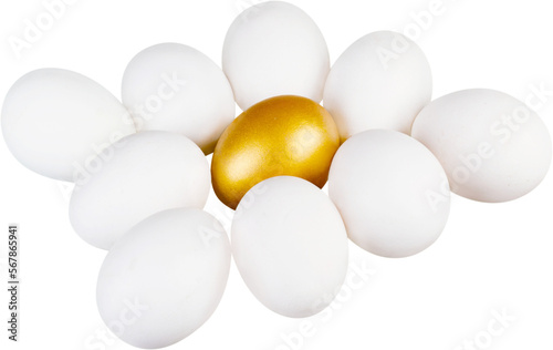 Many chicken eggs and one gold egg