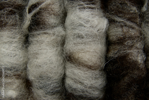Close-up of rolags of brown and white sheep's wool, arranged beside each other. Natural, neutral colours.