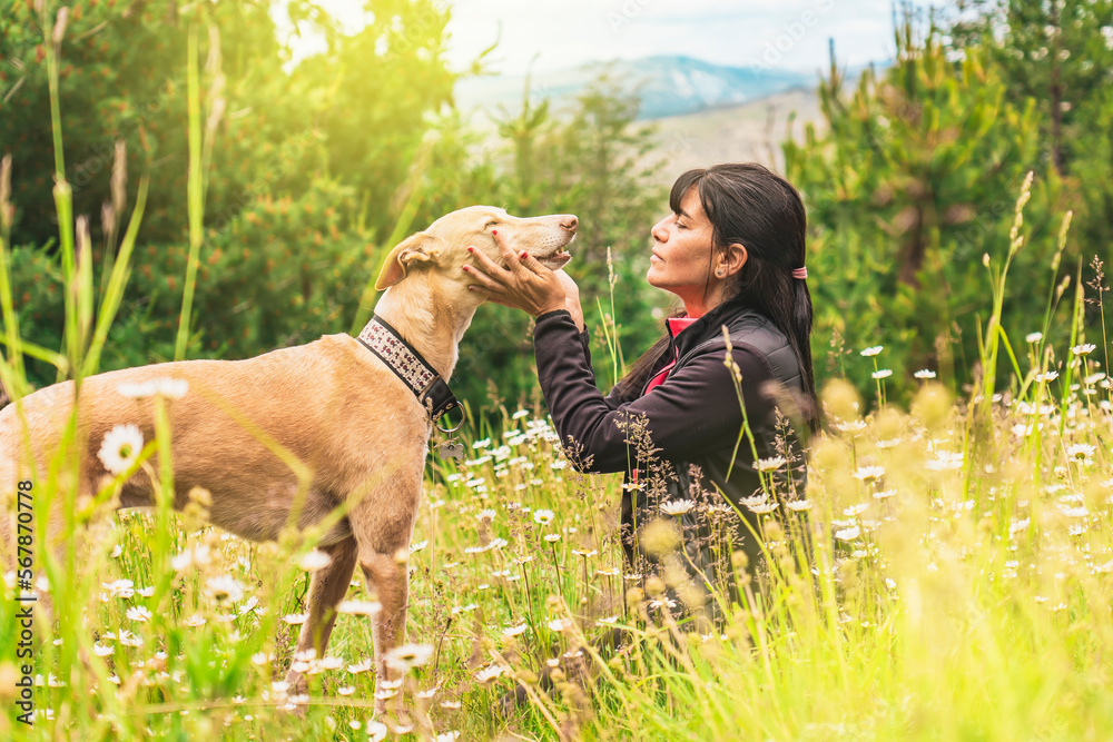 Woman sitting with her greyhound in nature. Woman sitting with her greyhound in nature.