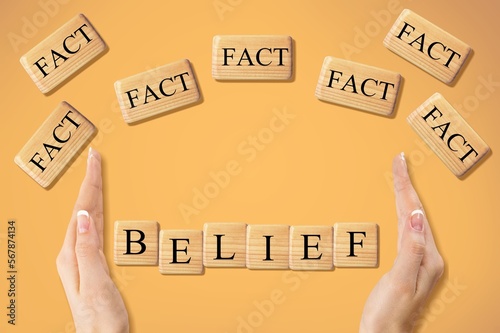 Set of wooden cube blocks with fact text