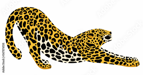 Fototapeta Naklejka Na Ścianę i Meble -  Amur leopard vector cartoon illustration