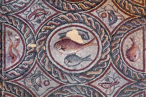 Fish on fragment of Lod Mosaic, famous Roman mosaic floor in Lod town in Israel, displayed in Shelby White and Leon Levy Lod Mosaic Center. Mosaic depicts land animals, fish and two Roman ships.