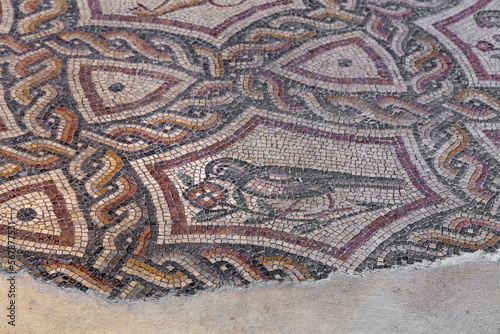 Fragment of Lod Mosaic, famous Roman mosaic floor in Lod town in Israel, displayed in Shelby White and Leon Levy Lod Mosaic Center. Mosaic depicts land animals, fish and two Roman ships.