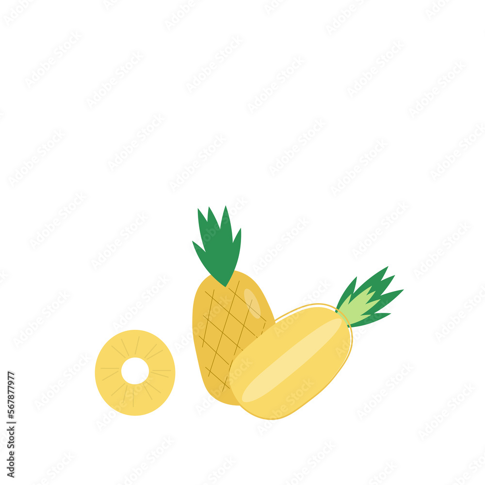 Pineapple fruit vector illustration isolated on a white background with copy space. Pineapple fruit vector illustration isolated on a white background with copy space.