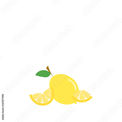 Lemon fruit isolated on a white background. Vector illustration with copy space. 