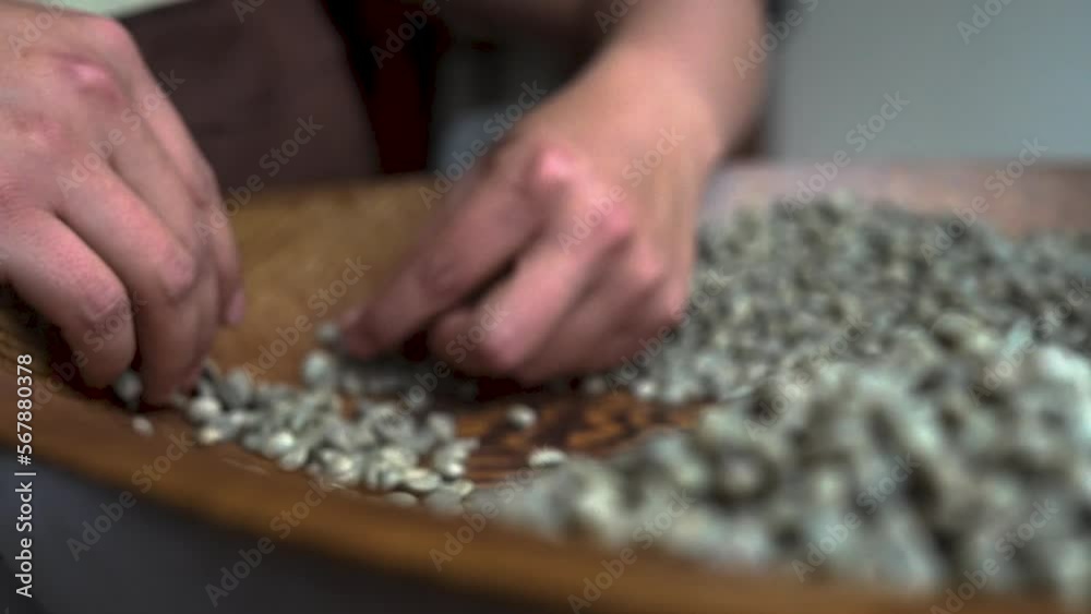 granos de café granos de café