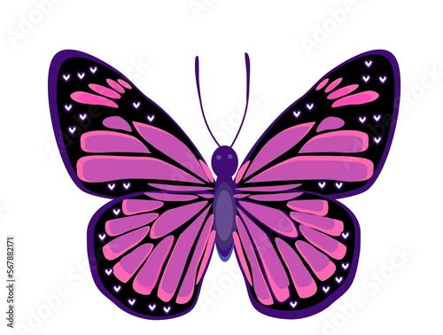 Pink and purple butterfly vector illustration for valentine’s day 