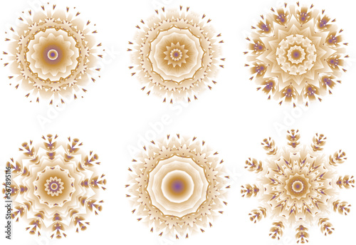 A set of beautiful decorative flowers. Vector file for designs.