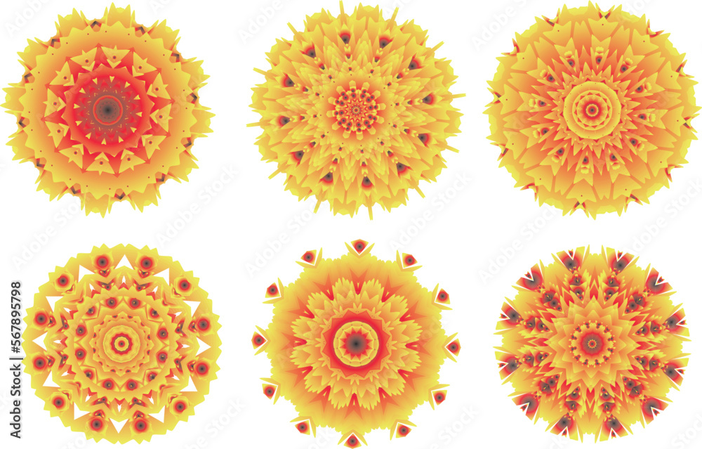 A set of beautiful decorative flowers. Vector file for designs. A set of beautiful decorative flowers. Vector file for designs.