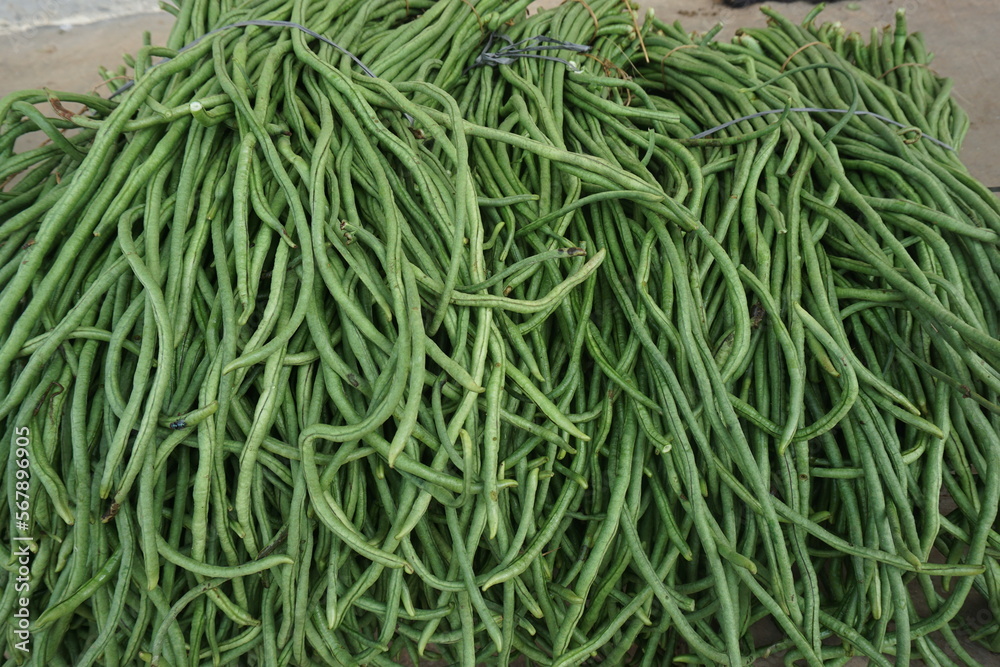 fresh long beans sold in traditional markets fresh long beans sold in traditional markets