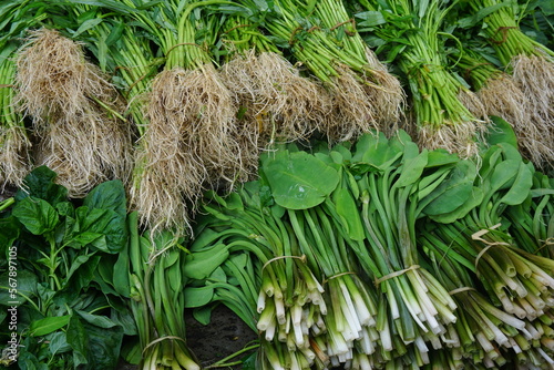 kangkung and genjer are sold in Indonesian traditional markets. photo