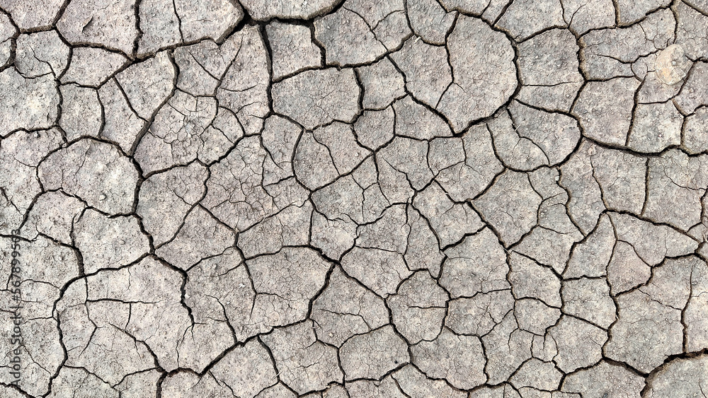 The texture of the earth with cracks. Background The texture of the earth with cracks. Background