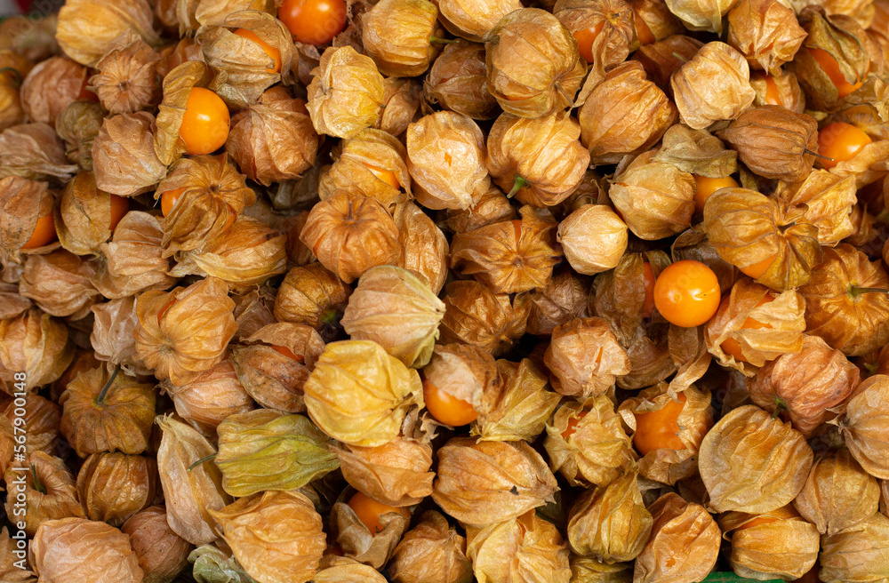 Cape gooseberry (Physalis peruviana) for sale at market Cape gooseberry (Physalis peruviana) for sale at market