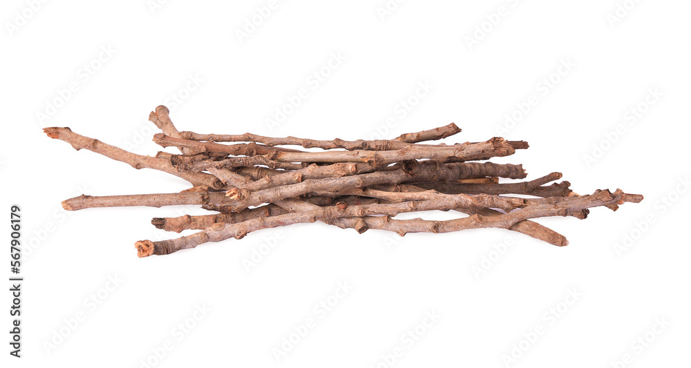 Obraz premium Old dry tree twigs isolated on white
