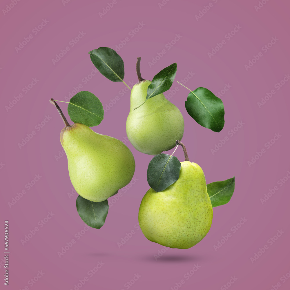 Fresh ripe pears and green leaves falling on dark pink background Fresh ripe pears and green leaves falling on dark pink background