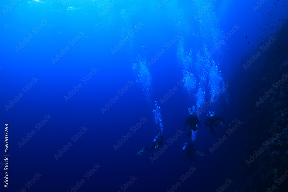 Obraz premium group of divers depth bubbles dive