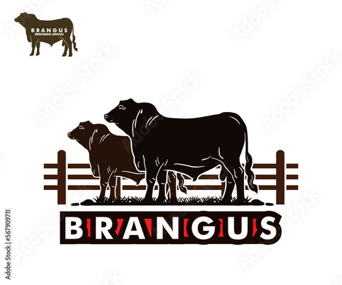 brangus breeds cattle logo, silhouette of great cattle breeds vector illustrations