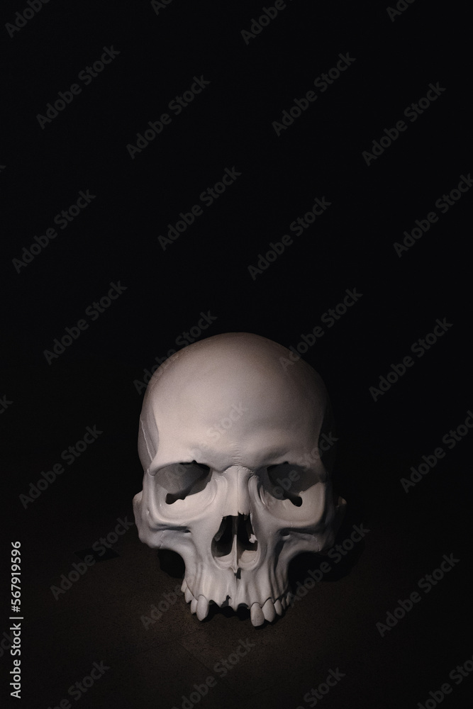 skull on black skull on black