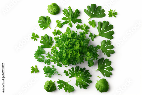 Top view of chopped fresh green parsley leaves isolated on a white background. On a white background  chopped parsley is isolated. Parsley leaves  chopped. New Herbs. Generative AI