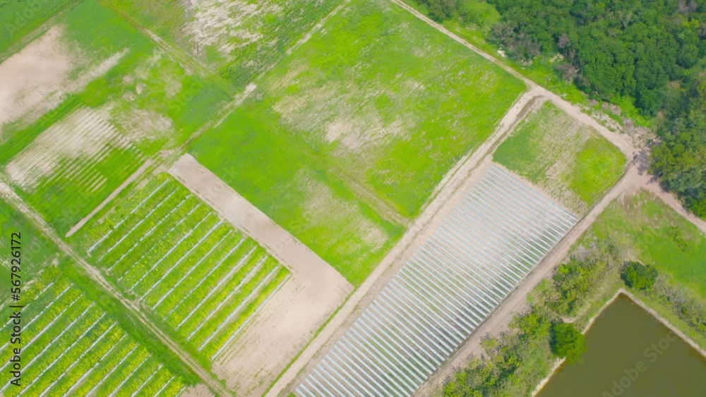 Aerial top view of tents roof in plant industry farm, green agricultural field in countryside or rural area in Asia. Nature landscape background. Aerial top view of tents roof in plant industry farm, green agricultural field in countryside or rural area in Asia. Nature landscape background.