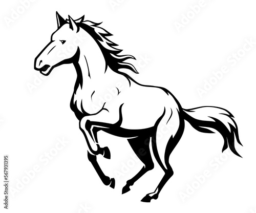 Wild Horse Galloping  Shadowed Animal Illustration