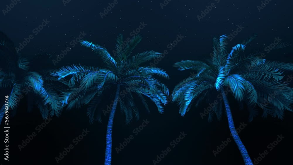 A background of palm tree scrolling past a night sky in a seamless loop.